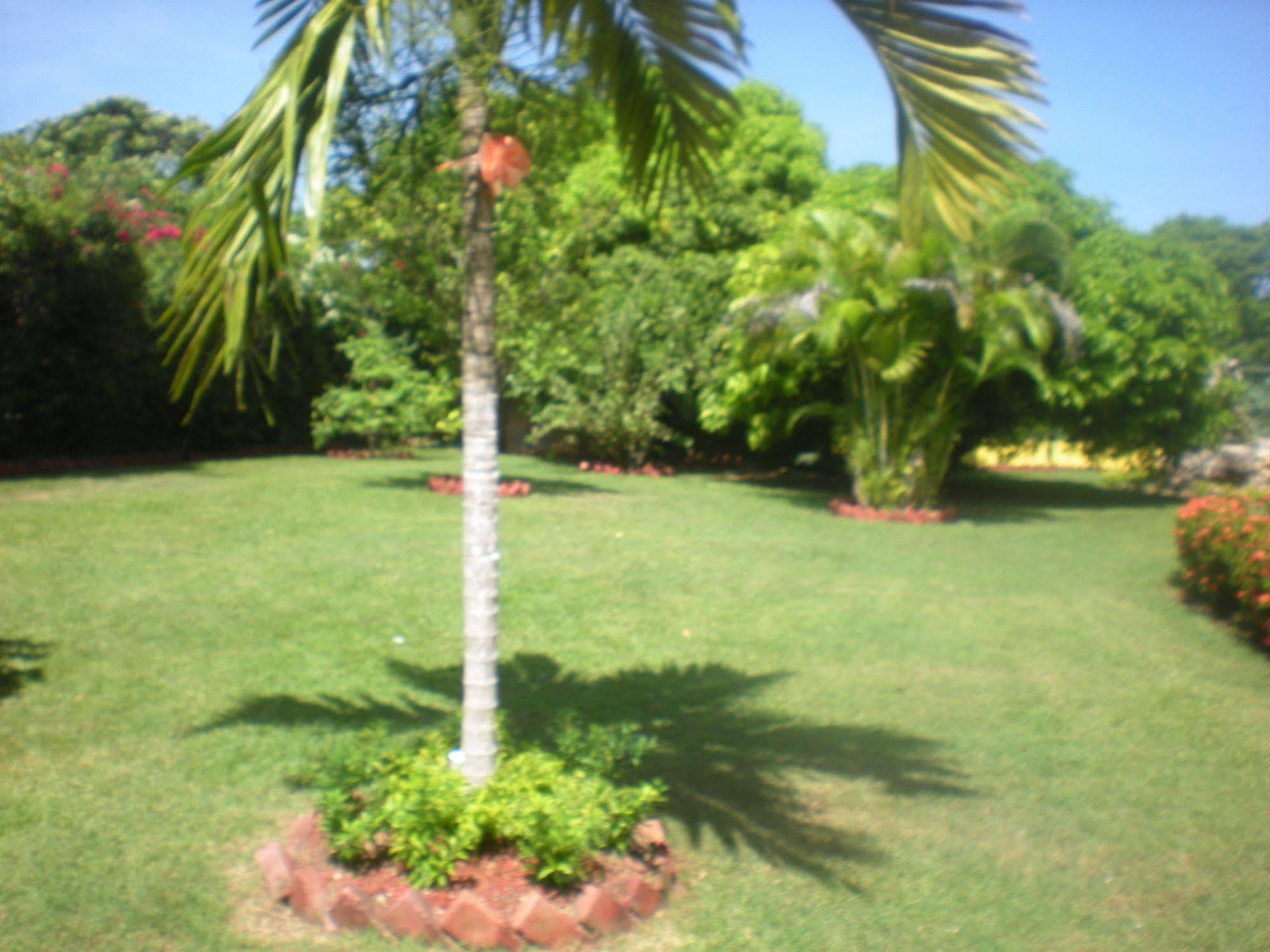 Villa Sonate Runaway Bay Luaran gambar